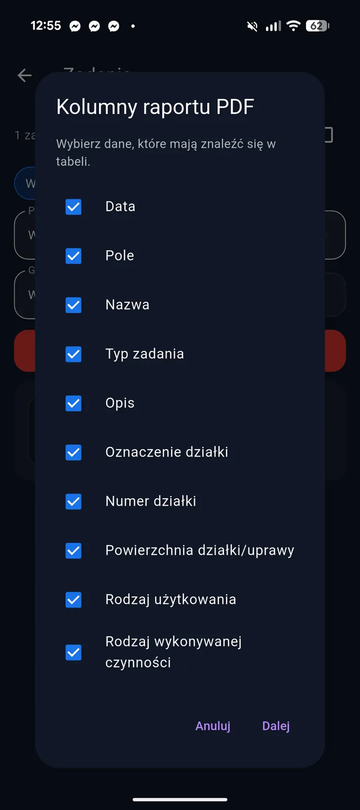 Raport PDF